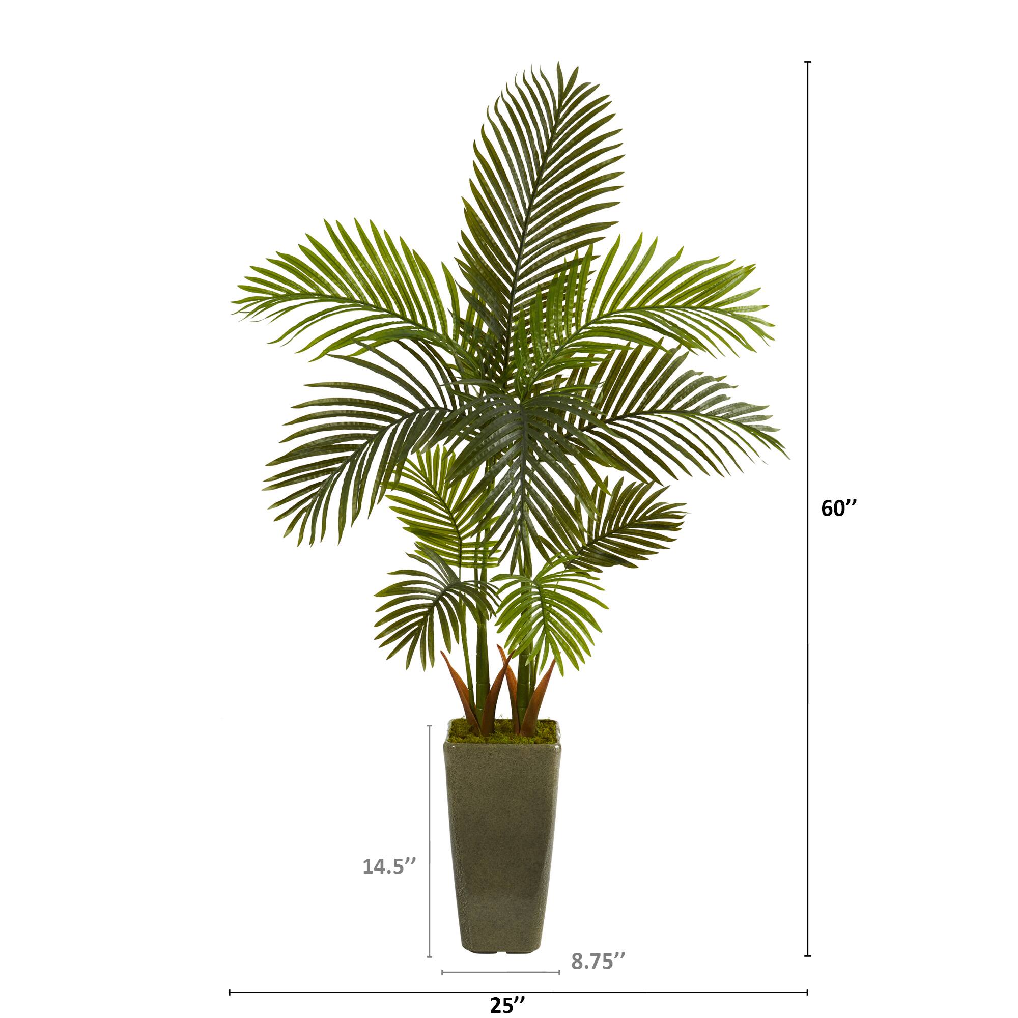 5ft. Areca Palm Tree in Green Planter